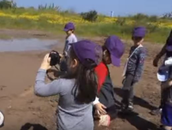 נצא אל שלולית החורף