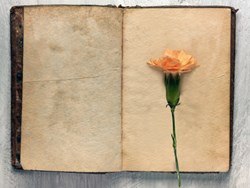 "אל מלא רחמים" - שלמה גרוניך