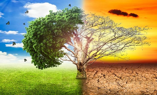 Climate and Seasons