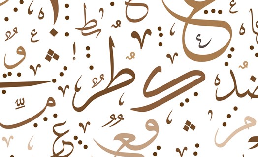 תרגול והסברים לנושאים דקדוקיים לכיתה ז