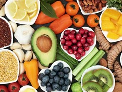 גנים ויסודי, עברית