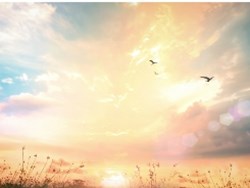 בריאת העולם, מאיר שלו