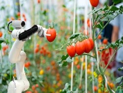 הצצה לעתיד החקלאות