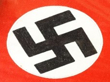 עמוד האש: התבססות הנאציזם