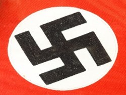 עמוד האש: התבססות הנאציזם