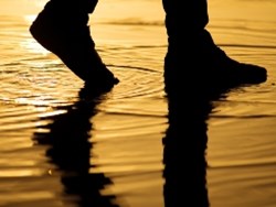 מונסון בהודו