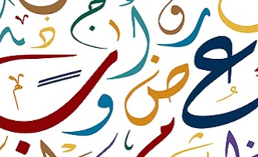 תרגול והסברים לנושאים דקדוקיים לכיתה ח