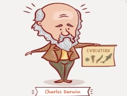 הכל על אבולוציית האדם