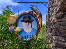 Evolution’s great mystery