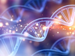 הסיפור המלא והמפתיע על גילוי ה-DNA