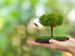 יחסי האדם והבריאה