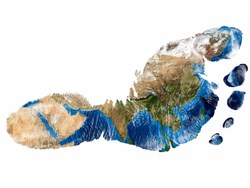 חי צומח דומם: טביעת רגל אקולוגית