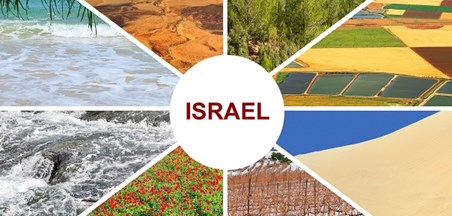 כנסת