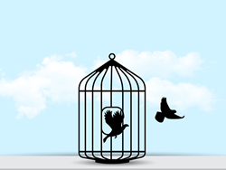 קוד 100: הזכות לחירות