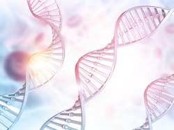 תעתוק ותרגום