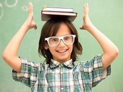 למידה פעילה גמישה