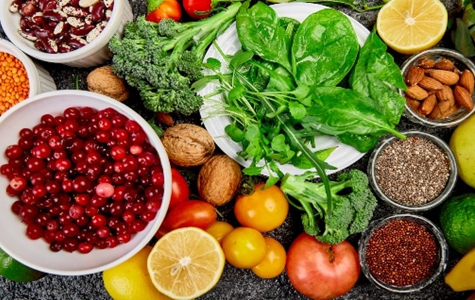 Britannica: Health and Medicine videos