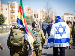ברית אחים