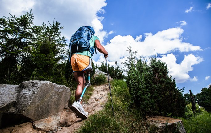 לעוף על החיים