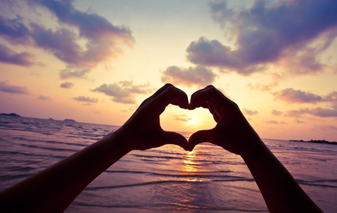 יחד כל הדרך