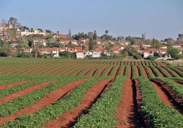 הקיבוץ העירוני