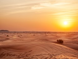 חקלאות במדבר הישראלי
