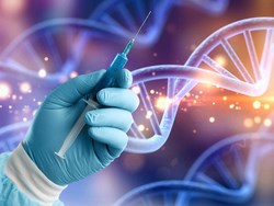 כיצד ארוז ה- DNA