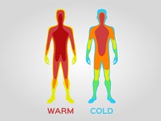 מדוע עולה חום הגוף כשחולים?