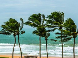 מערך הרוחות העולמי