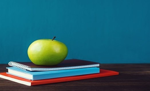 חומרי העשרה לכיתה ט