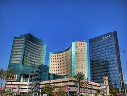 סטארט אפ מדינה