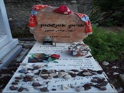 תוצרת הארץ, אריק אינשטיין