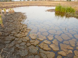 שינויי אקלים באפריקה