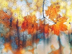 סתיו - גידי גוב