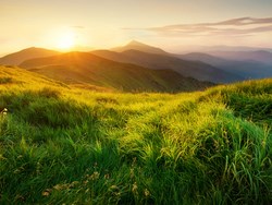 בשנה הבאה – אילנית