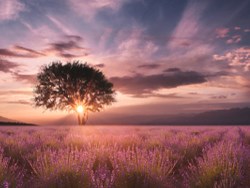 בשנה הבאה – שירי מימון