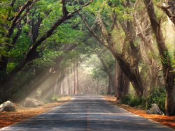 השנה החדשה שלי