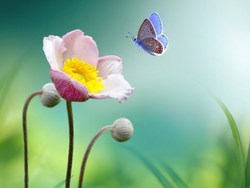 הינה מתחילה לה עוד שנה