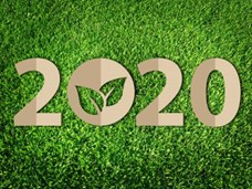 סיכום 2020 - איכות הסביבה