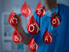  Blood Types