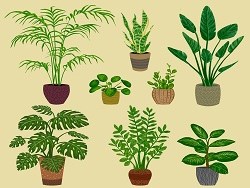 החיים הסודיים של הצמחים (כתוביות)