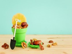 יצירה: קופסת ט"ו בשבט