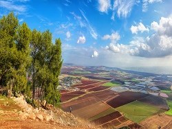 ארצנו הקטנטונת, יורם טהרלב
