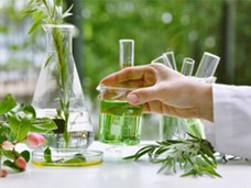 מוזה במעבדה: החושים של הצמחים
