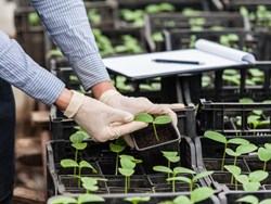 מדוע בנייה ירוקה?
