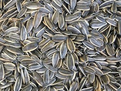 גרעינים תוצרת ישראל