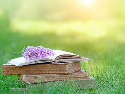 אלחנן ריינר משוחח עם אגי משעול