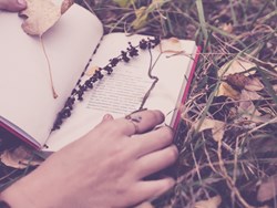 כיצד משוררים חושבים?