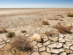 בצורת וסכנת רעב באפריקה