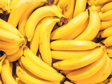 תרבית רקמה - ריבוי של בננה 